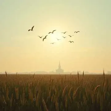 9 мая